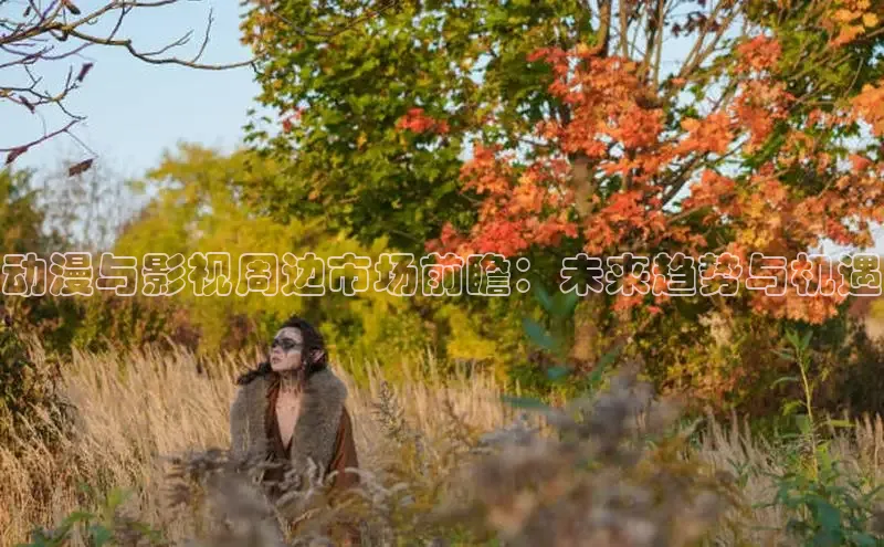动漫与影视周边市场前瞻：未来趋势与机遇